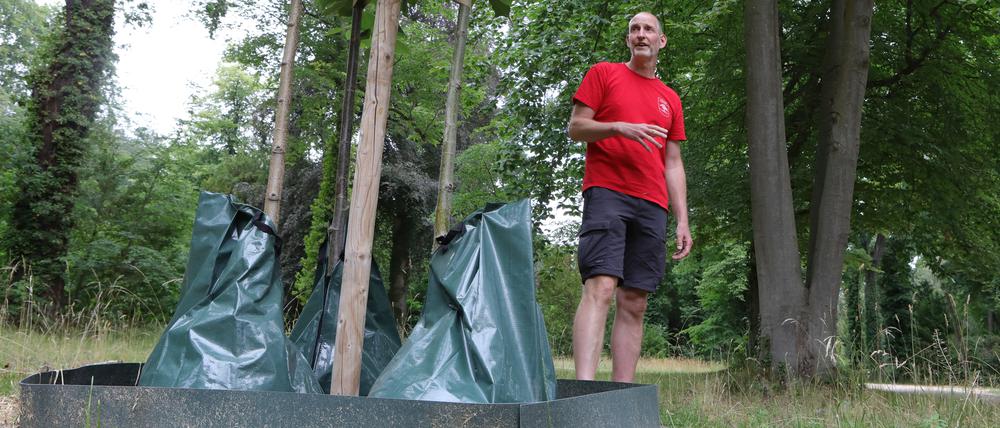 Revierleiter des Parks Ralf Kreutz (Foto) zeigt Wassersäcke im Park Sanssouci.