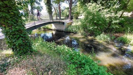 Beliebtes Ausflugsziel. Der Schlosspark Marquardt bietet viele lauschige Ecken und romantische Perspektiven. Entworfen hat ihn der berühmte Gartenkünstler Peter Joseph Lenné. Die heutigen Eigentumsverhältnisse sind kompliziert.