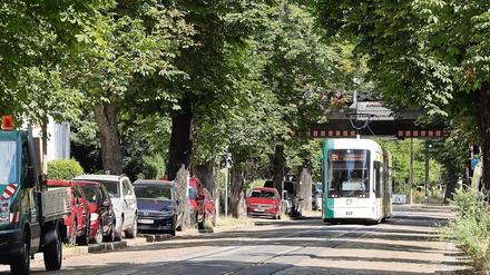 Die Zeichen stehen auf Stau. Gerade in den Sommerferien wird viel gebaut. In der Kastanienallee zum Beispiel stehen Leitungsarbeiten an. 