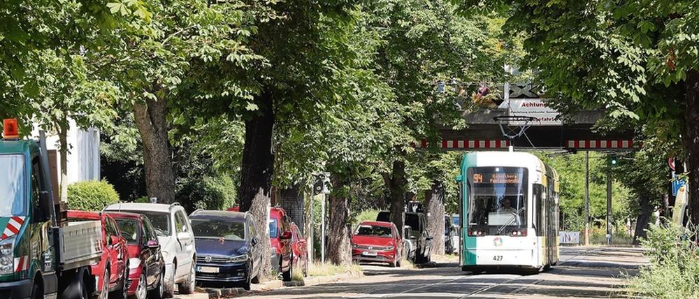 Die Zeichen stehen auf Stau. Gerade in den Sommerferien wird viel gebaut. In der Kastanienallee zum Beispiel stehen Leitungsarbeiten an.