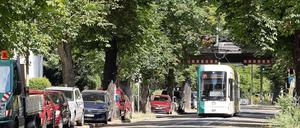 Die Zeichen stehen auf Stau. Gerade in den Sommerferien wird viel gebaut. In der Kastanienallee zum Beispiel stehen Leitungsarbeiten an. 