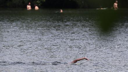 Auch im Heiligen See wurden die Saugwurmlarven nachgewiesen. 
