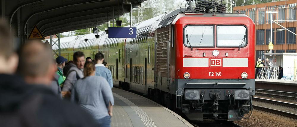 Die Brandenburger Grünen halten das 49-Euro-Ticket für zu teuer.