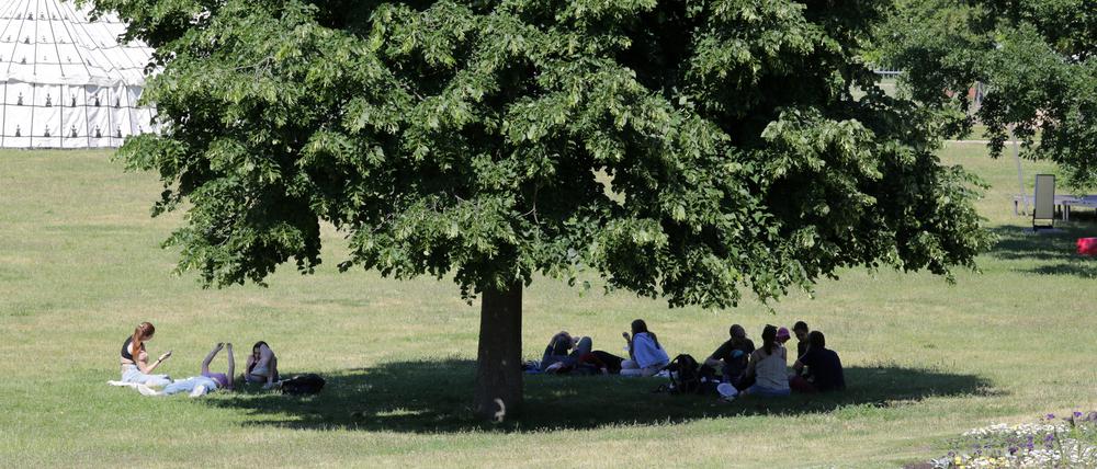 Auf der Freundschaftsinsel können sich Jugendliche mit Freunden treffen - aber nicht bis in die Nacht hinein.