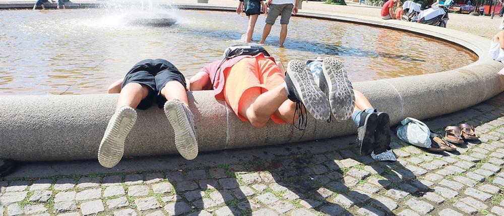 Potsdam hat Konzepte zur Anpassung an den Klimawandel - aber die Umsetzung läuft zu schleppend.