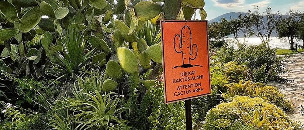 Achtung, Kakteen-Areal. Die prächtigen Sukkulenten samt Warnschild hat Kai Diekmann an der Ägäis fotografiert.