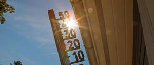 Potsdam erreichte am 20. Juli einen neuen Hitzerekord.