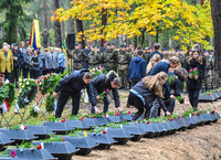 Schüler legen Blumen auf kleine Särge mit sterblichen Überresten von deutschen Soldaten auf dem Waldfriedhof in Halbe (Brandenburg) nieder.