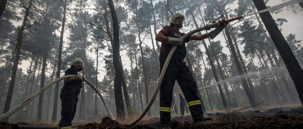 Feuerwehrmänner bekämpfen einen Waldbrand bei Treuenbrietzen. Rund 600 Einsatzkräfte konnten den großen Waldbrand im Südwesten Brandenburgs am Freitagmorgen stark eindämmen. Drei Dörfer in der Region wurden evakuiert. Es brannte eine Fläche so groß wie 400 Fußballfelder.