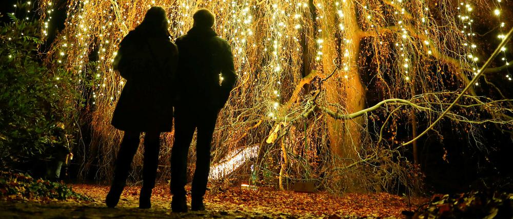 Im Botanischen Garten in Berlin finden derzeit wieder die Botanischen Nächte statt, in denen man dem Winter entfliehen kann.