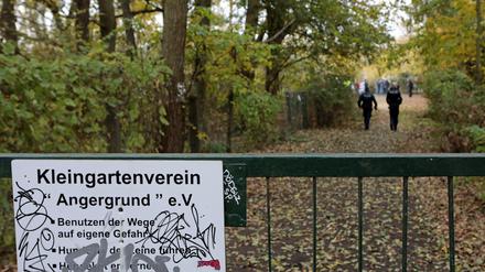 Die Gärtner am Angergrund haben, zum Teil seit vielen Jahren, gesät, gepflanzt, gegossen.