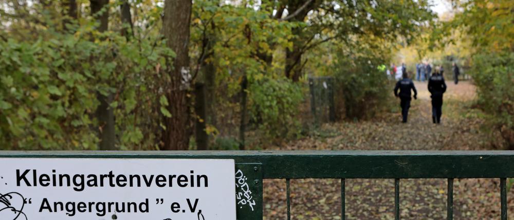 Die Gärtner am Angergrund haben, zum Teil seit vielen Jahren, gesät, gepflanzt, gegossen.