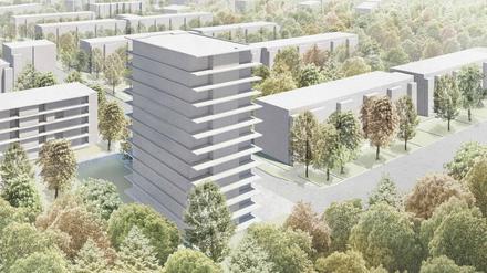 Am Kahleberg in Waldstadt II soll ein Zwölfgeschosser entstehen.