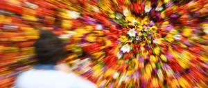 Das Tulpenfest findet am 12. und 13. April 2019 im Holländischen Viertel statt.