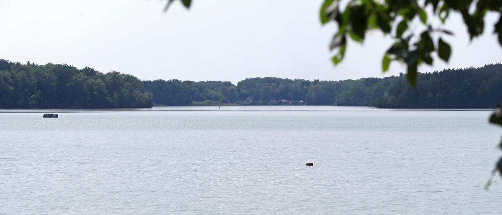 Gerade an heißen Tagen zieht es immer mehr Badegäste an den Sacrower See. 