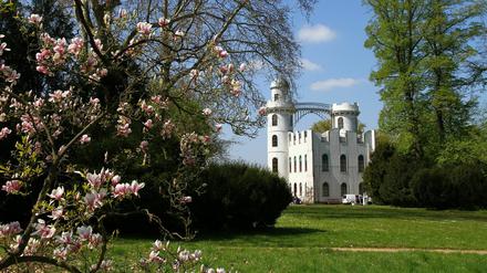 Das Schloss auf der Pfaueninsel.