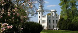 Das Schloss auf der Pfaueninsel. 