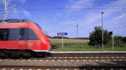 Durch das neue Wohnprojekt könnten bald doppelt so viele Menschen in Marquardt leben.