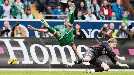 270804_3_xio-fcmsimage-20090419161731-006001-49eb327bb2254.heprodimagesfotos85120090420wolfsb1.jpg