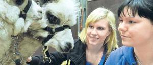 Junges Gemüse. Wie fast alle jungen Besucher der Grünen Woche zieht es Sarah und Jennifer zu den Tieren. Die Schau der Katzen überlassen sie aber gerne den Älteren.Foto: Paul Zinken