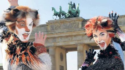 Fauch. „Cats“-Darsteller werben vor selten gezeigtem Bauwerk. Foto: dpa/Petersen