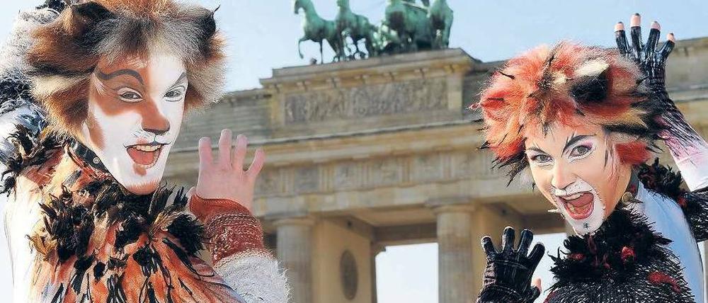 Fauch. „Cats“-Darsteller werben vor selten gezeigtem Bauwerk. Foto: dpa/Petersen