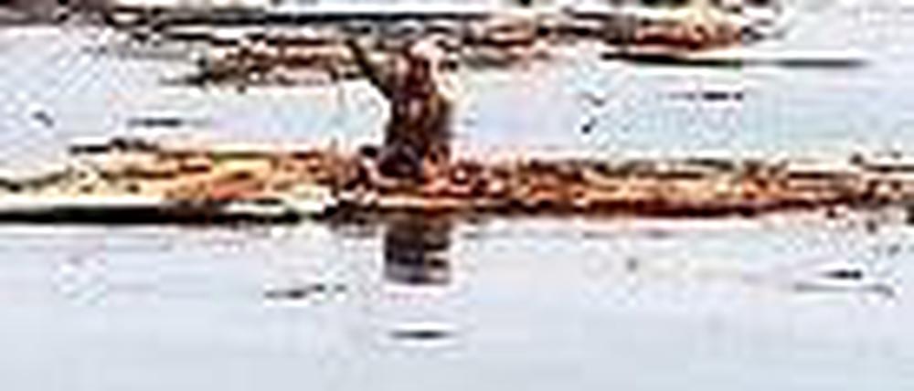 Hiromitsu Shinakawa winkt auf dem Meer Marinesoldaten zu. Foto: Reuters