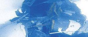 Aufgeschlitzt: Ein Unterwasserbild der Küstenwache zeigt den Riss im Rumpf. Foto: rtr