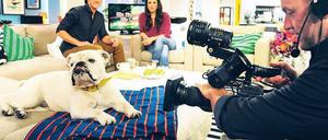 UND ACTION. Kameramann Stefan Pulvermüller hat seinen Hund immer im Blick. Bulldogge Lotte ist seit fünf Jahren das Maskottchen des Sat-1-Frühstücksfernsehens. Täglich von halb sechs bis zehn hat sie prominente Spielkameraden, etwa die Moderatoren Simone Panteleit und Jan Hahn.    Foto: Kai-Uwe Heinrich