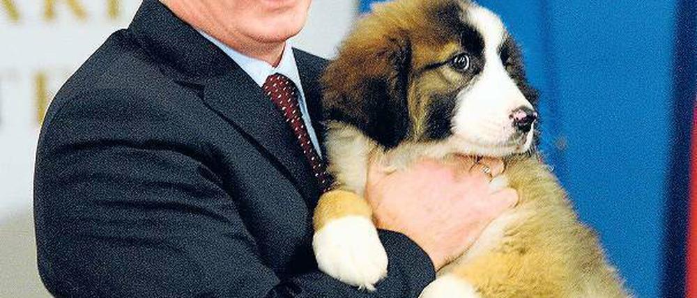 Hände weg von meinem Welpen, ihr Sodos! Putin und sein Cheflobbyist. Foto: dpa