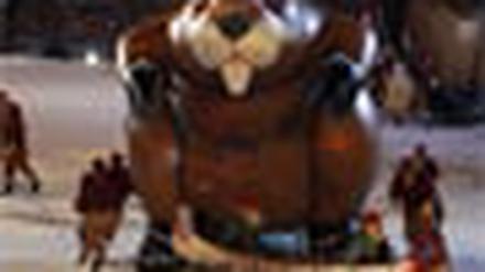 325876_0_ad49c1ec.jpg