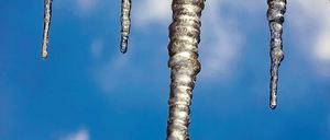 323036_0_db61c87d.jpg