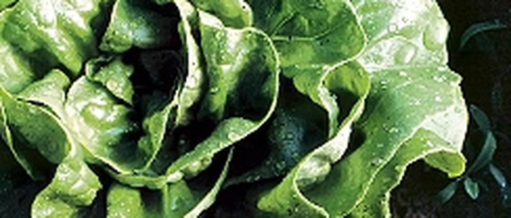 321592_0_84e70918.jpg