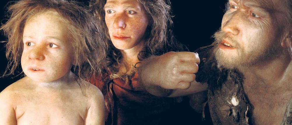 Skepsis im Blick. Rekonstruktion einer Neandertaler-Familie auf der Basis französischer Fossilienfunde, 36 000 bis 70 000 Jahre alt. Fotos: Focus/SPL und dpa