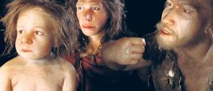 Skepsis im Blick. Rekonstruktion einer Neandertaler-Familie auf der Basis französischer Fossilienfunde, 36 000 bis 70 000 Jahre alt. Fotos: Focus/SPL und dpa