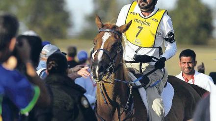 Scheich hoch zu Ross. Muhammed bin Raschid Al Maktoum im Sattel.