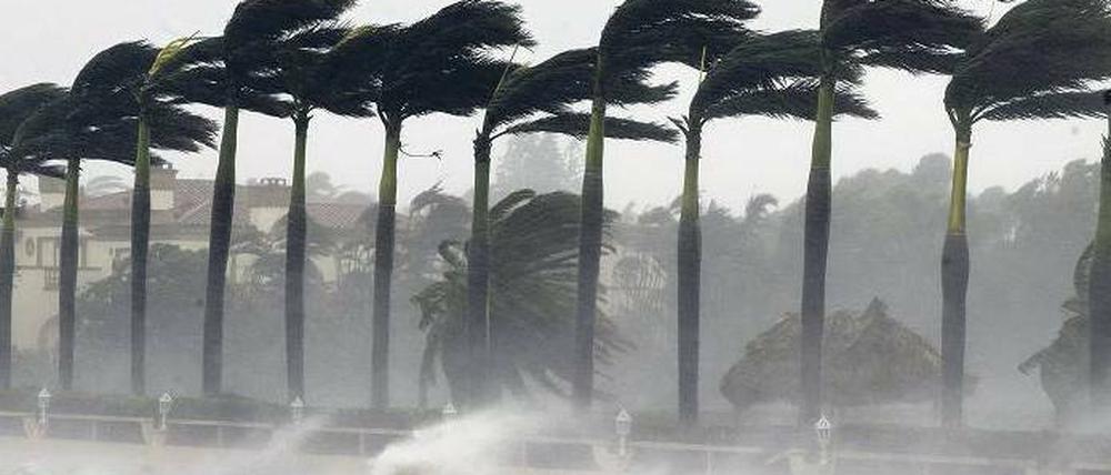 Raues Klima. Nicht nur beim Wetter häufen sich die Extreme. Auch die Diskussion um die Erderwärmung und ihre Folgen wird immer rabiater geführt.