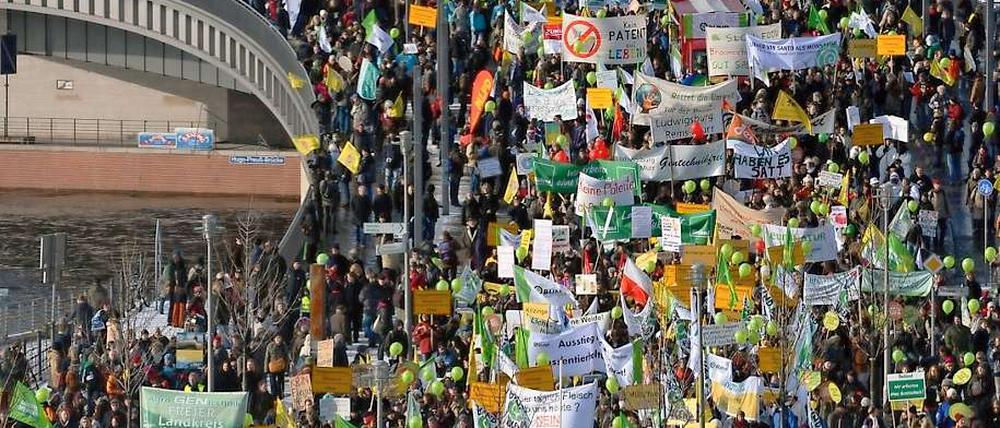 Teilnehmer einer Demonstration ziehen am 22.01.11 in Berlin unter dem Motto "Wir haben es satt! - Nein zu Gentechnik, Tierfabriken und Dumping-Exporten" durch das Regierungsviertel.