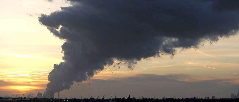 Braunkohlekraftwerk. Im vergangenen Jahr ist der Anteil der Braunkohle am Energiemix um fünf Prozent gesteiegen.