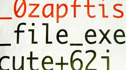 Teile des Computercodes der staatlichen Spionage-Software. Der Chaos Computer Club hatte ihn Anfang Oktober veröffentlicht. 