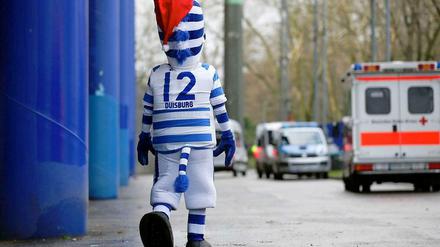 Das Zebra kann erhobenen Hauptes in die Weihnachtsferien gehen.