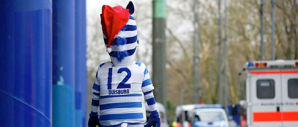 Das Zebra kann erhobenen Hauptes in die Weihnachtsferien gehen.