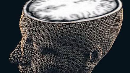 Milliarden Einzelteile. Die Funktionsweise des Gehirns ist so komplex, dass man für seine Simulation Supercomputer braucht. 