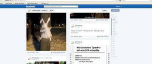 Ansichtssache. Rund 17 800 Nutzer klickten auf der Facebook-Seite des „Zeit-Magazin“s mit dem skurrilen Schneehasen den Button „Gefällt mir“. 