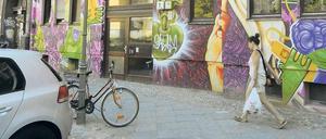 Sein Revier. 23 Straftaten soll P. alleine in diesem Jahr begangen haben.