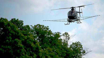 Kampf gegen die Eichenprozessionsspinner: Dieser Hubschrauber versprüht Gift. 