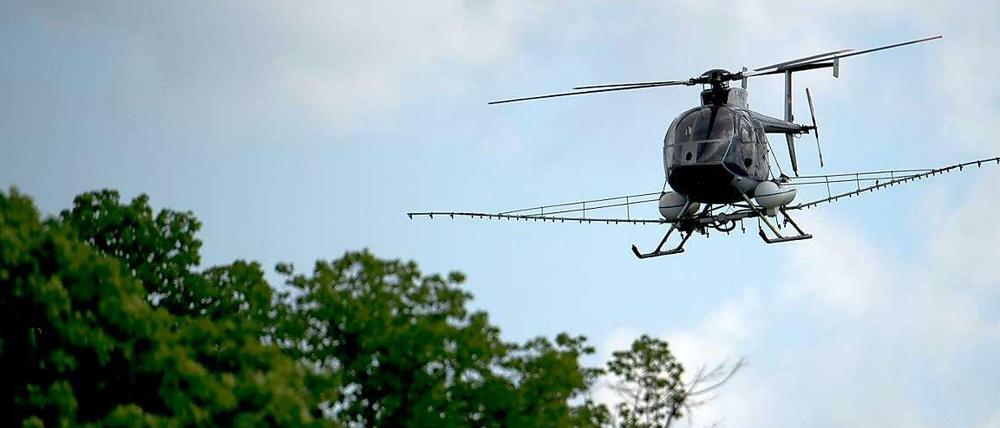 Kampf gegen die Eichenprozessionsspinner: Dieser Hubschrauber versprüht Gift.