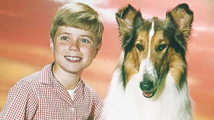 Collie Lassie mit Freund Timmy (Jon Provost).