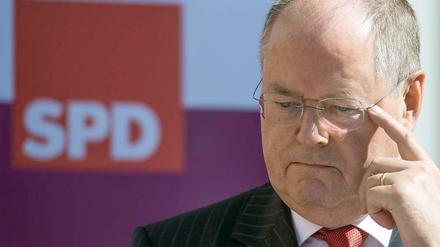 Ob Steinbrück nun eine Putzfrau illegal beschäftigt hat oder nicht, ist bislang unklar.
