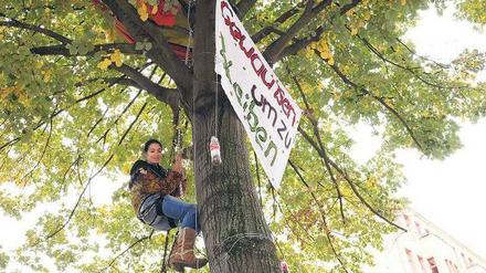 Gewachsen, um zu bleiben. Das verkünden die Aktivisten per Plakat. Aber schon bald könnte es mit der letzten Linde endgültig vorbei sein.